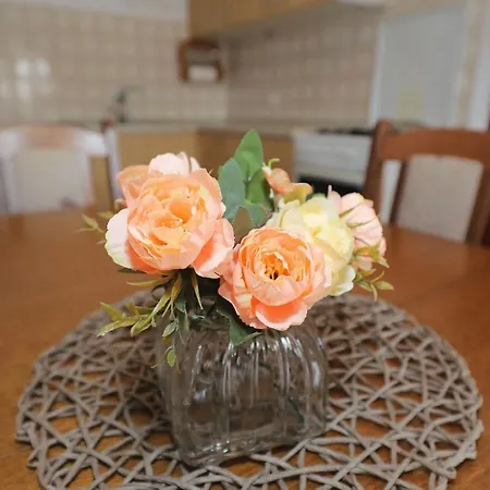 House Old Fisherman Hébergement de vacances